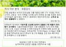 [홍보/마케팅A+] 농약녹차 파동으로 인한 태평양 설록차의 신뢰도 향상을 위한 홍보마케팅전략 분석 8페이지