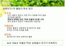 [홍보/마케팅A+] 농약녹차 파동으로 인한 태평양 설록차의 신뢰도 향상을 위한 홍보마케팅전략 분석 17페이지