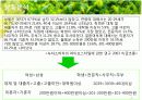 [홍보/마케팅A+] 농약녹차 파동으로 인한 태평양 설록차의 신뢰도 향상을 위한 홍보마케팅전략 분석 21페이지