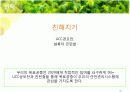 [홍보/마케팅A+] 농약녹차 파동으로 인한 태평양 설록차의 신뢰도 향상을 위한 홍보마케팅전략 분석 28페이지