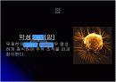 [인체와생리A+] 유방암 종류와 원인,증상 및 치료방법과 통계자료 분석 3페이지