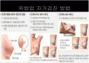 [인체와생리A+] 유방암 종류와 원인,증상 및 치료방법과 통계자료 분석 15페이지
