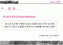 [경영학A+] 게릴라마케팅 사례 및 전망분석 4페이지