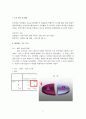 [경영학마케팅A+] 한국사회 인맥에 대한 인식 변화와 싸이월드의 인맥문화  3페이지