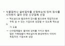 맥도날드 기업분석과 마케팅사례분석 27페이지