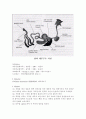   붕어-Observation of internal feature  4페이지