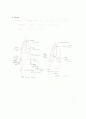 닭-Observation of os cranio 4페이지