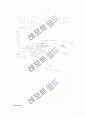 닭-Observation of Vertebrae & Thorax 5페이지