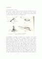 닭-Observation of Cingulum extremities 2페이지