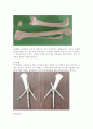 닭-Observation of Cingulum extremities 5페이지