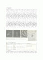 동물분류학-Observation of Protozoa(원생동물) 2페이지