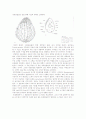동물분류학-Observation of Protozoa(원생동물) 5페이지