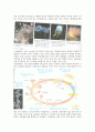 동물분류학-Observation of Cnidaria(자포동물) 4페이지