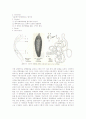 동물분류학-Observation of Platyhelminthes(편형동물) 3페이지