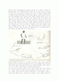 동물분류학-Observation of Platyhelminthes(편형동물) 4페이지