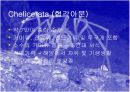 바다거미-PPT발표자료 6페이지