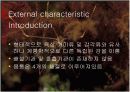 바다거미-PPT발표자료 8페이지