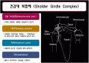 말초관절유동술 25페이지