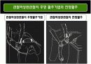 말초관절유동술 27페이지