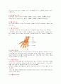 골 성장과 구조 15페이지