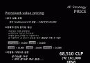 보국전기 해외진출사례분석 14페이지
