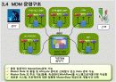 MDM(Master Data Management)를 활용한 Global 기업의 기준정보 통합운영 방안 19페이지