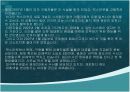 창업성공과 실패사례 14페이지