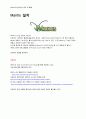 BugTrack Mantis의 개요 및 설치 4페이지