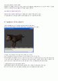 OpenGL을 이용하여 3D Mesh 만들기 33페이지