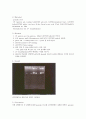세포생물학-Electrophoresis of DNA-1 7페이지
