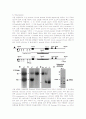 세포생물학-Digestion of DNA, Electrophoresis of DNA-2 6페이지