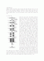 세포생물학-Polymerase chain reaction(PCR). 2페이지