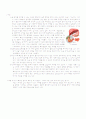 췌장암(Pancreatic cancer) case study 4페이지