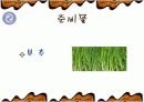 해물 부추전 만들기 파워포인트 4페이지