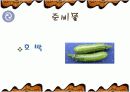 해물 부추전 만들기 파워포인트 5페이지