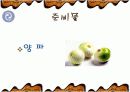 해물 부추전 만들기 파워포인트 6페이지
