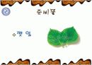 해물 부추전 만들기 파워포인트 7페이지