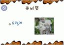 해물 부추전 만들기 파워포인트 11페이지