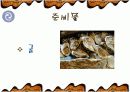 해물 부추전 만들기 파워포인트 13페이지