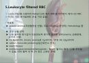 수혈(혈액성분 주입법) 9페이지