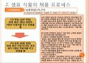 샘표식품의 인적자원관리사례 10페이지