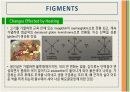 [조리과학] Chapter 15 - Meats, Fish and Poultry 13페이지