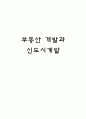 부동산 개발과 신도시개발 1페이지