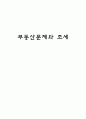 부동산문제와 조세 1페이지