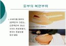 피하 피내 근육주사 비경구 투여 방법 17페이지