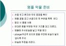 피하 피내 근육주사 비경구 투여 방법 49페이지