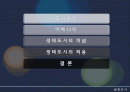 생태도시의 개념와 적용사례-한강르네상스 사례분석- 2페이지