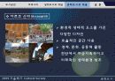 생태도시의 개념와 적용사례-한강르네상스 사례분석- 19페이지