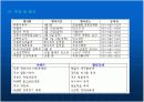 지역사회 간호사정 진단 계획 수행 평가 35페이지