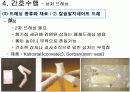 상처간호 간호수행 방법 평가 46페이지